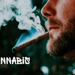 Cannabis Use & Clinical Challenges: Master Training for Mental Health Professionals